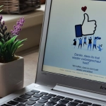 Немецкие игорные сайты онлайн: документальный обзор рынка