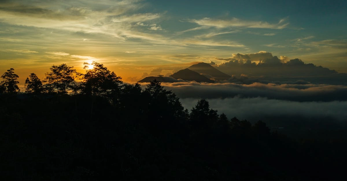 Wild West Gold слот игра анализ характеристик и механик