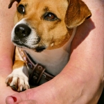 Программы лояльности казино без депозита справочная информация