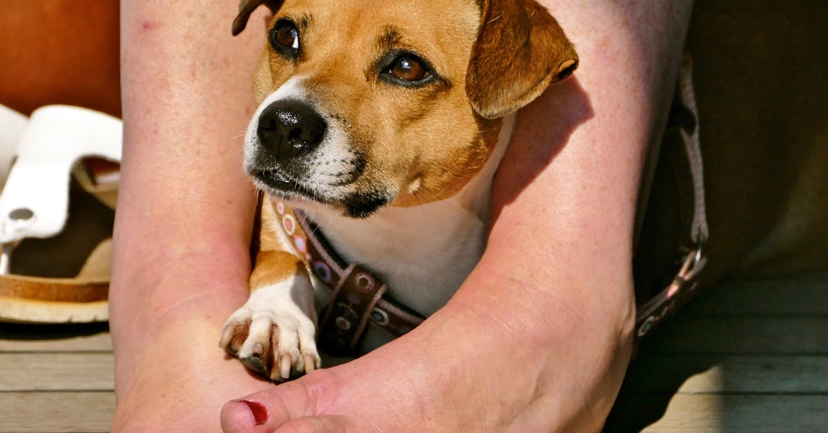 Программы лояльности казино без депозита справочная информация